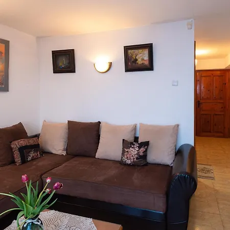 Гостевой дом Doctor's House