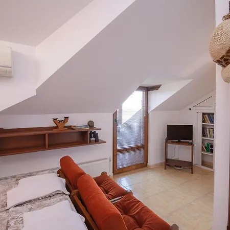 Pensiune Doctor's House