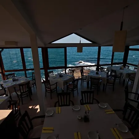 Doctor's House Pensiune 3*